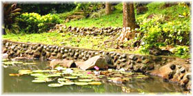 duka bay stream
